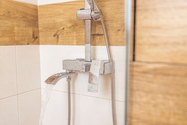 Shower Plumbing Installation in Palmetto